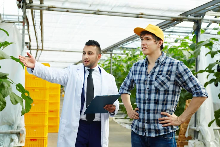 Plant and Machinery Capital Allowance Claims