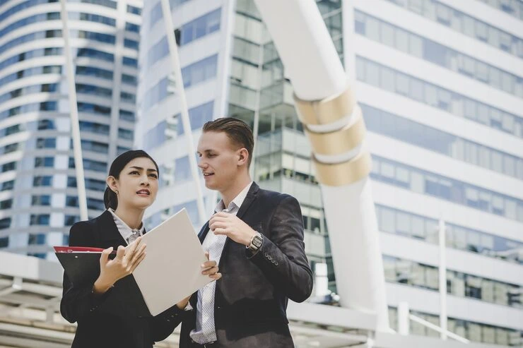 Offshore Company and UAE Entity Review